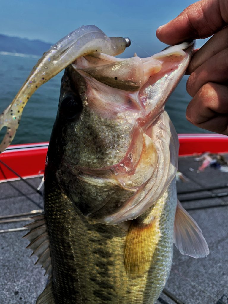 一人で釣りに行くということ | 琵琶湖北湖のバスフィッシングガイドCONNECT