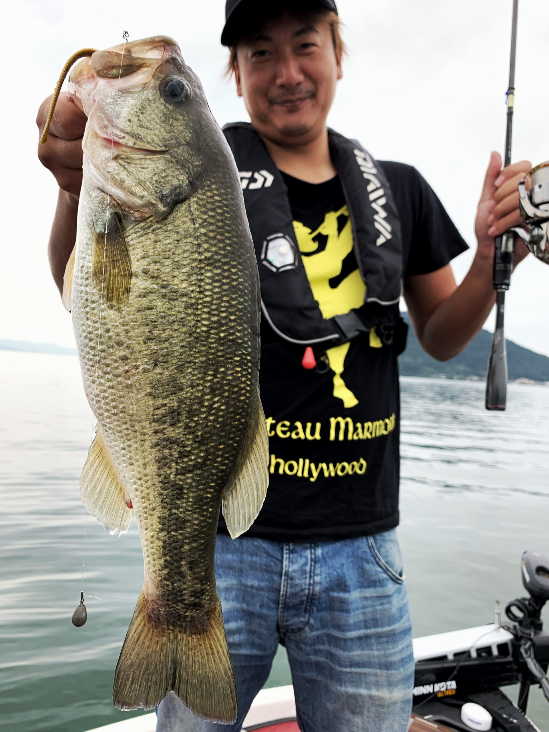 JPEGイメージ-D5E505C17984-1-