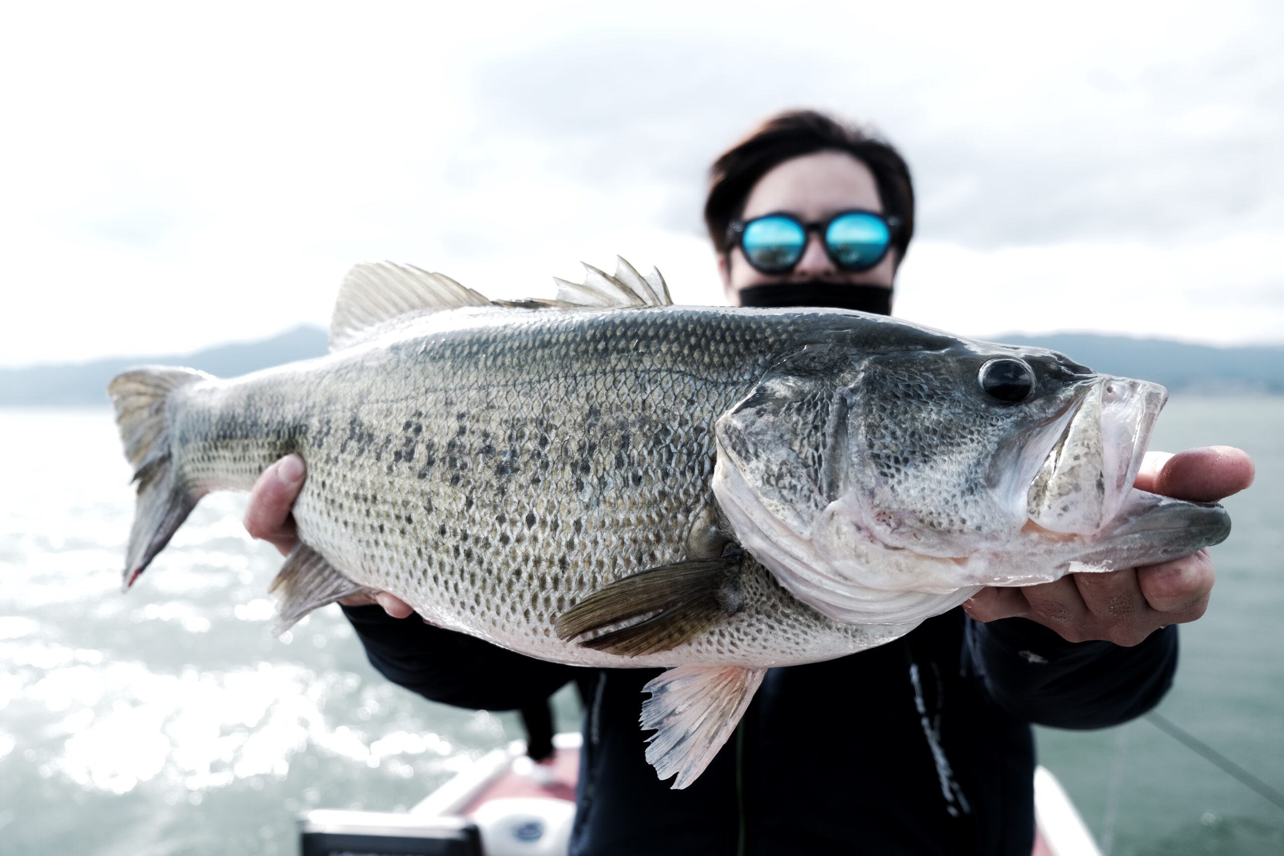 ガイドレポート 4 12 月 ロクマル筆頭にカバースキャットnsで釣れまくり 琵琶湖北湖のバスフィッシングガイドconnect