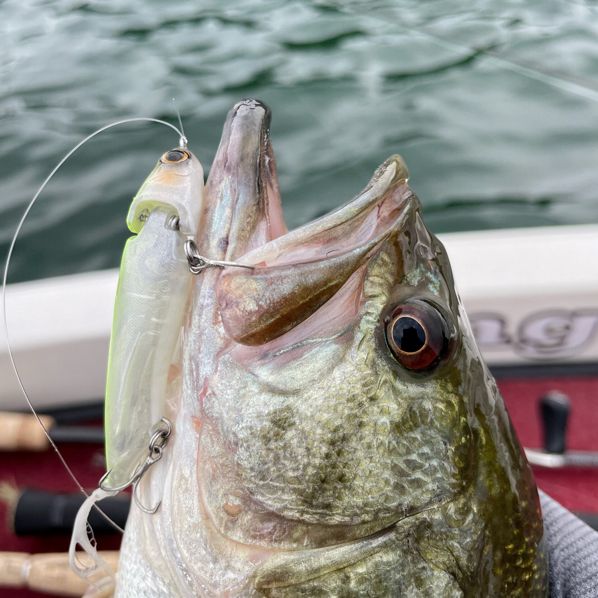 誰でも簡単 バンタムジジル70 シマノ の使い方を琵琶湖ガイドが解説 琵琶湖北湖のバスフィッシングガイドconnect