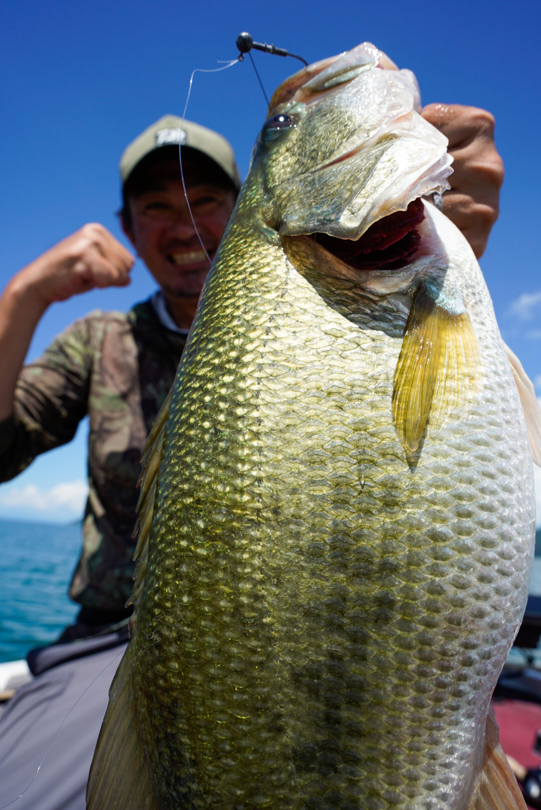 北湖のサマーパターン始まってます | 琵琶湖北湖のバスフィッシング