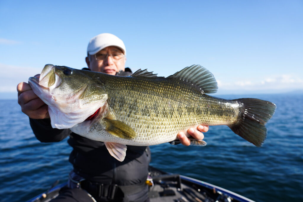 For Overseas Travelers, Bass Fishing Guide Service In Japan(lake Biwa 