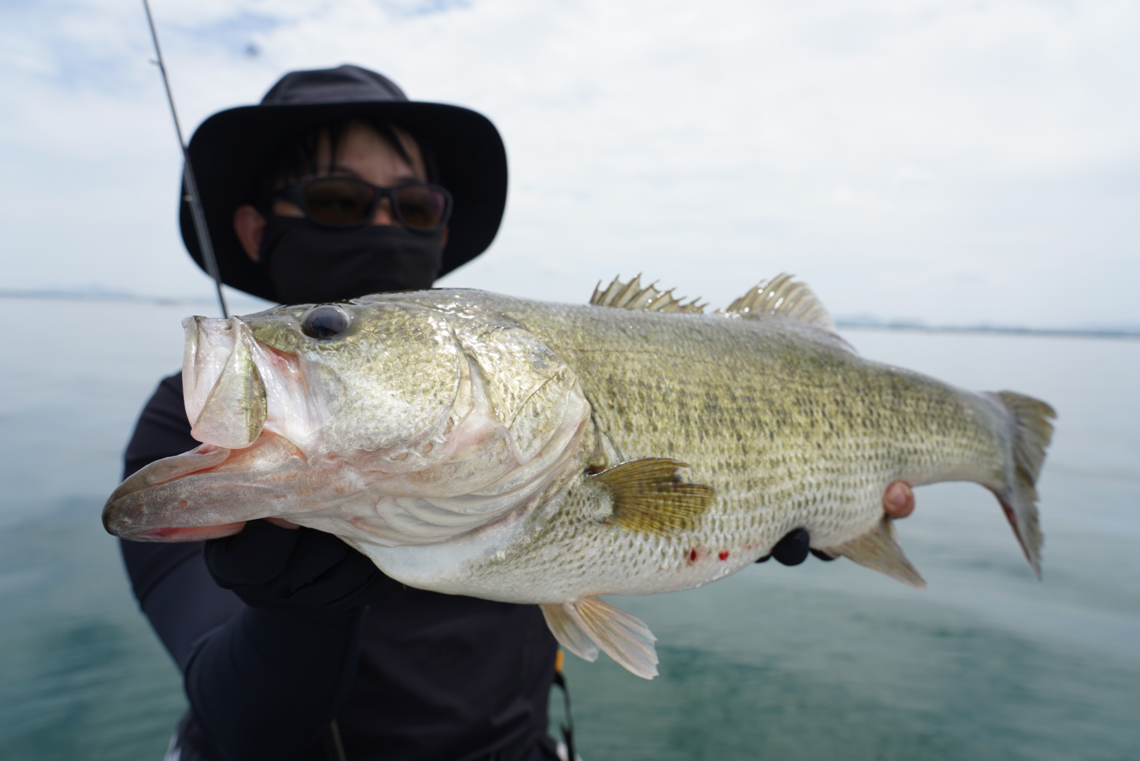 巻物で釣るための四箇条を解説！ | 琵琶湖北湖のバスフィッシングガイドCONNECT