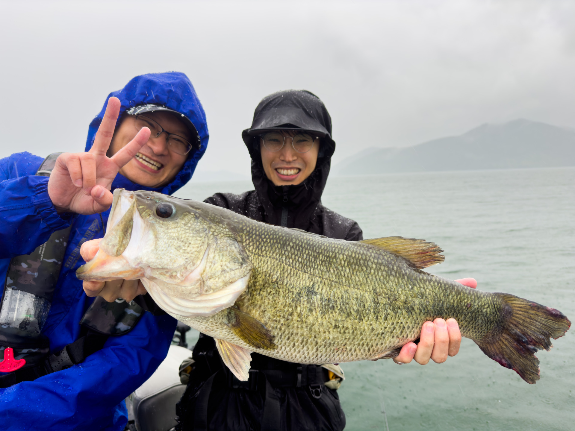 またまたロクマル登場！南湖のアフター回復と北湖のディープパターン始まりました。よく釣れています | 琵琶湖北湖のバスフィッシングガイドCONNECT